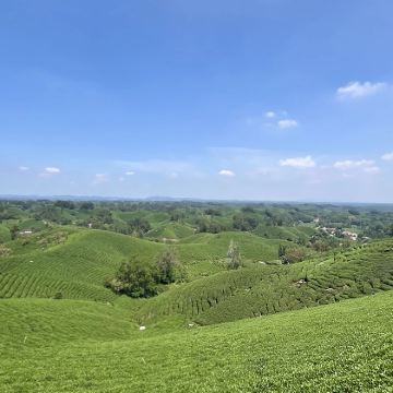 河南信阳3日2晚私家团