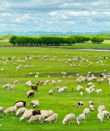 6D5N • Hohhot + Xilamuren Grasslands + Whistling Dune Bay