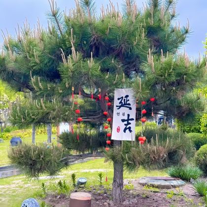 长白山+镜泊湖+哈尔滨6日5晚私家团