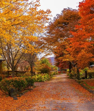 5D4N • Karuizawa & Tokyo Classic Private Leisure Journey Shorinzan Daruma-ji Temple+Shiraito Falls+Stone Church