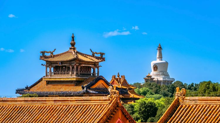 <6天>【6日5晚 · 旅行团 · 提前预订，解锁北平秋日限定旅程，市中心金融街威斯汀奢华连住房型＋故宫博物院＋慕田峪长城＋颐和园＋恭王府＋天坛公园】·指定金融街威斯汀大酒店 无购物无自费 导游精讲 赠黄包车观杂技演出 3正餐含烤鸭 多一日自由