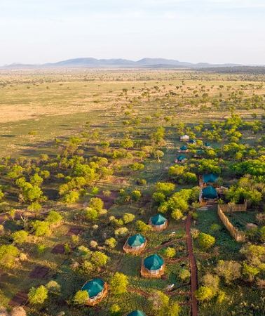3D2N • 3-Day Classic Serengeti Safari