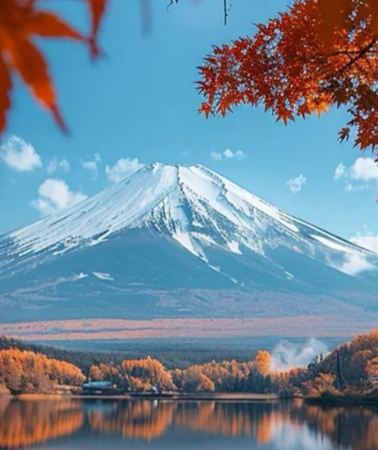 5日4晚 • 日本東京＋富士山＋箱根 ＋迪士尼  精緻 9 人小團 「箱根海賊船＋箱根空中纜車」「拜神社、遊湖賞泉、暢玩迪士尼」