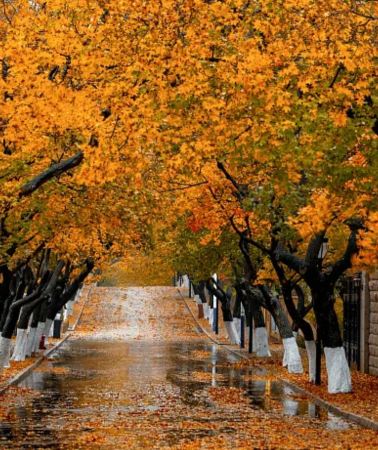 5D4N • Shandong Peninsula tour: Qingdao, Yantai & Weihai, 24-hour airport pickup and drop-off service, no compulsory shopping