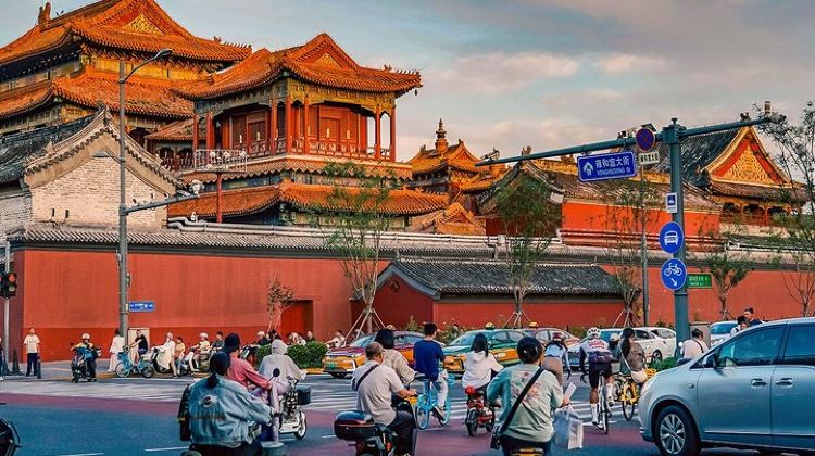 14-Day China Small Group Family Adventure Tour from Beijing to Shanghai: Pandas, Palaces, Warriors, Great Wall & Yangtze River Cruise