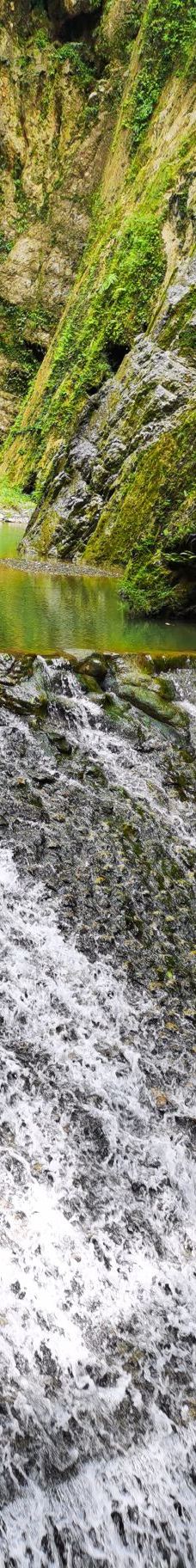 黑山谷风景区-重庆