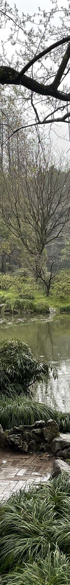 杭州植物园-杭州