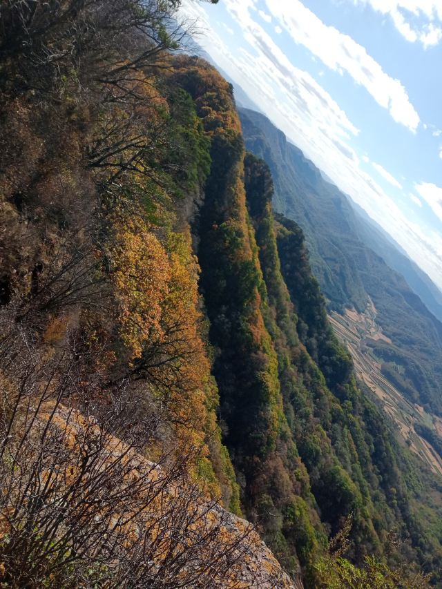 鸡冠山国家森林公园旅行图片 1