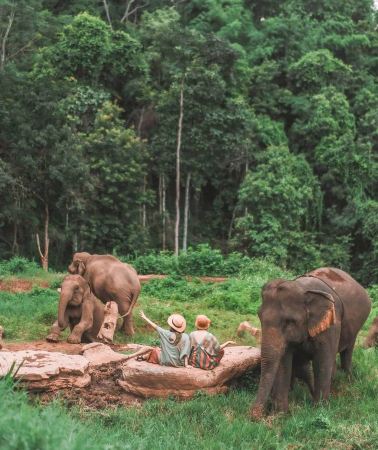 4D3N • Northern Thailand Chiang Mai & Chiang Rai 4-Day 3-Night Small Group Tour 