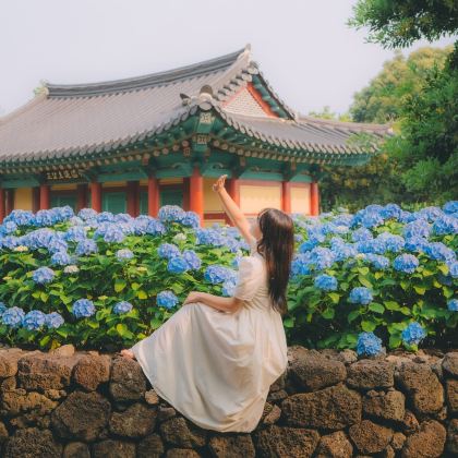 韩国济州岛3日2晚私家团