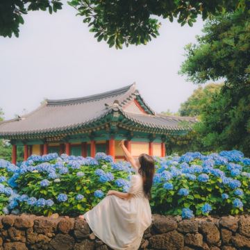 韩国济州岛3日2晚私家团