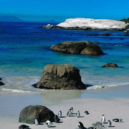 南非10日9晚私家团