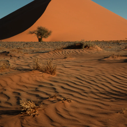 纳米比亚+南非开普敦+埃托沙国家公园13日11晚私家团