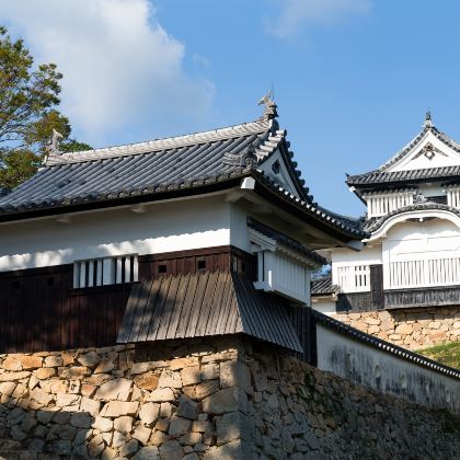 日本四国+松山+西条市+高知市+土佐清水市+宇和岛市7日6晚私家团