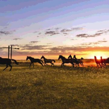 埃格尔+埃格尔披头士博物馆+埃格尔美人谷+霍尔托巴吉国家公园3日2晚私家团