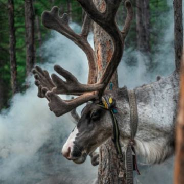 沈阳故宫+长白山+哈尔滨+漠河10日9晚跟团游
