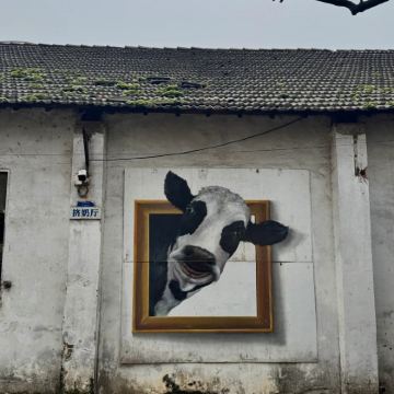 嘉兴+月河历史街区+朱生豪故居+新塍镇+东兴奶牛场2日1晚私家团