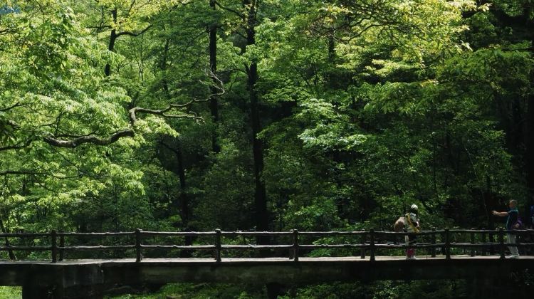 3D2N · Private Tours · Changsha + Zhangjiajie + Zhangjiajie National Forest Park + Tianmen Mountain National Forest Park