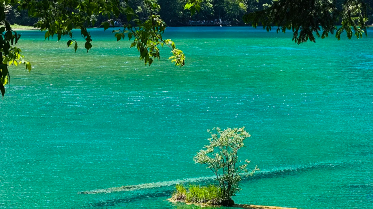9-Day Sichuan-Chongqing Dual-City Tour: Jiuzhaigou & Hongyadong. Contact customer service for complimentary family room upgrade in downtown Chengdu, free customized private itinerary
