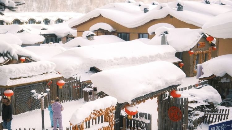 6-Day Classic Northeast China Private Tour· Harbin, Changbai Mountain, Jingbo Lake Scenic Spot, Siberia Tiger Park, Diaoshuilou Waterfall 