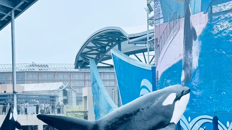 上海3日2晚跟团游·热门地标丨乐高乐园+东方明珠+黄浦江游船+外滩故事+复旦+上博丨魔都核心景点