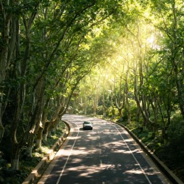江苏南京2日1晚自由行