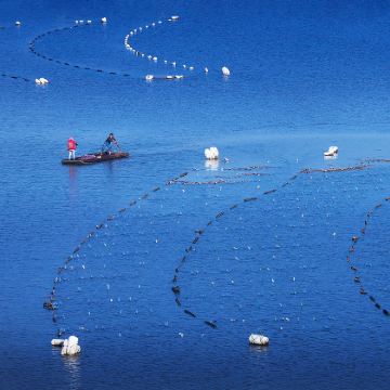 霞浦+太姥山+北岐滩涂+杨家溪+半月里5日4晚拼小团