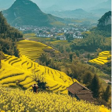 云南昆明+建水+元阳+普者黑景区+罗平+东川红土地+元谋土林+碧色寨风景区10日9晚私家团