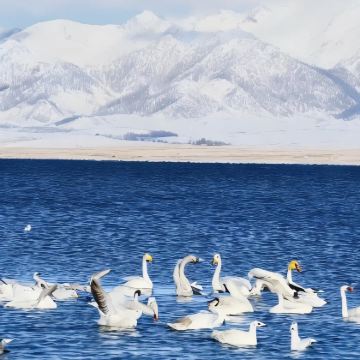 新疆北疆+伊犁2日1晚拼小团