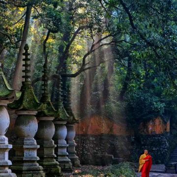 宁波+新昌大佛寺景区+溪口-滕头旅游景区+国清寺+琼台仙谷景区4日3晚拼小团