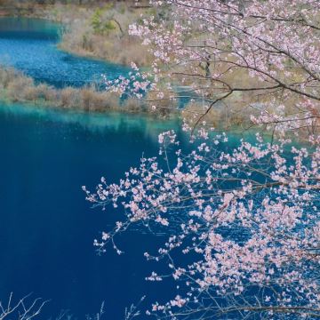 成都+九寨沟+毕棚沟+达古冰川风景名胜区6日5晚私家团