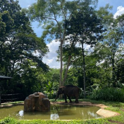 万隆市+日惹特区6日5晚拼小团