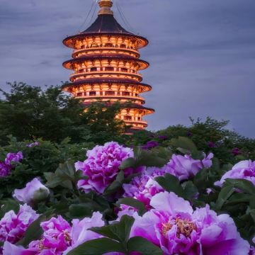 河南郑州+洛阳+只有河南·戏剧幻城5日4晚私家团
