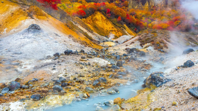 8-Day AIRFARE INCL·Japan: Sapporo + Chitose + Noboribetsu + Lake Toya + Furano + Otaru · SG Departure · Flights Incl · Meals Incl · SG Tour Leader · Leisure Pace · Senior-Friendly