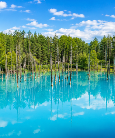 8D7N • Hokkaido scenic journey: Sapporo + Biei + Furano + Asahikawa + Noboribetsu + Blue Pond + Farm Tomita