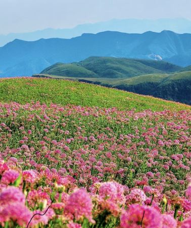 5日4晚 • 貴州貴陽＋阿西里西韭菜坪＋妥樂古銀杏＋萬峯林＋馬嶺河峽谷