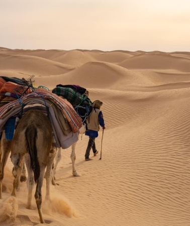 2D1N • Djerba: Sahara 2 Day 4x4 Tour & 1-Night Desert Camp Night