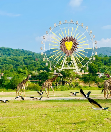 2D1N • Qingyuan Gulong Canyon & Chimelong Forest Kingdom Mountain Adventure Tour: Glass skywalk, cliff views & exciting white-water rafting, watch the great animal migration, customizable on request
