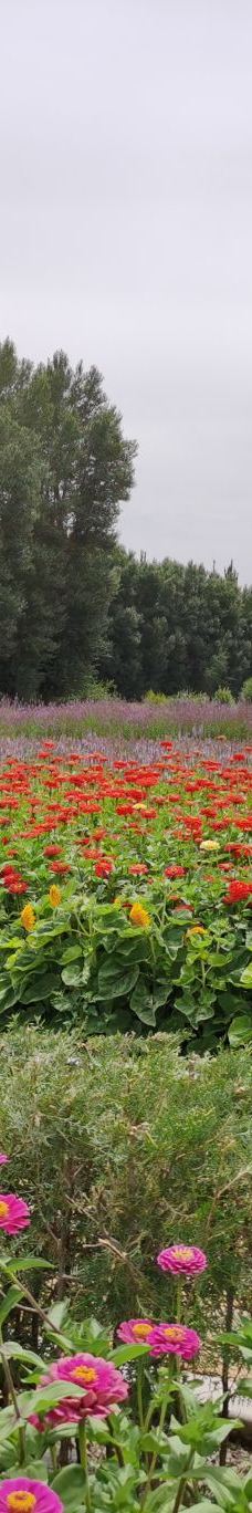 赤金峡风景区-玉门