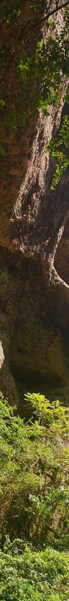 寨下大峡谷-泰宁