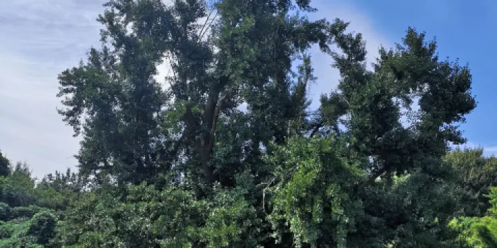 冠山風景旅遊區