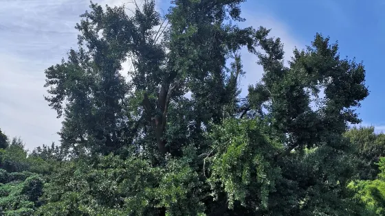 冠山風景旅遊區