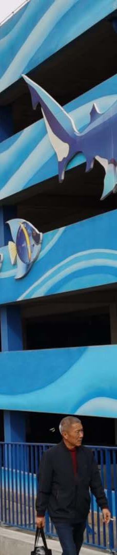 郑州海洋馆-郑州