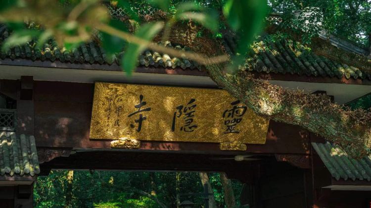 杭州+4