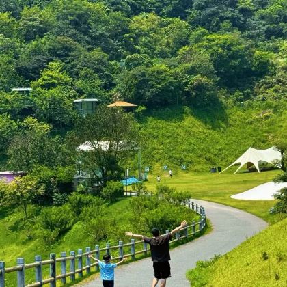长沙+张家界+天门山+大峡谷+凤凰古城12日11晚私家团