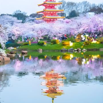 武汉3日2晚自由行