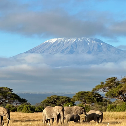 肯尼亚+马赛马拉国家保护区+奈瓦沙湖+安波塞利国家公园+纳库鲁湖国家公园8日7晚跟团游