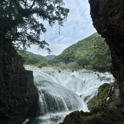 云南昆明+抚仙湖+建水+普者黑风景区+广南+兴义+黄果树8日7晚拼小团