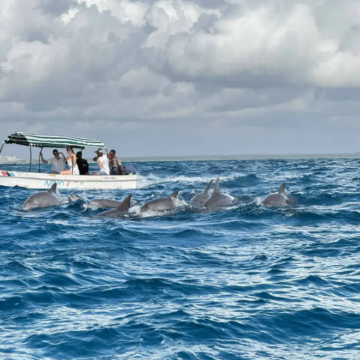 肯尼亚+坦桑尼亚13日12晚私家团