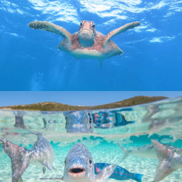 澳大利亚凯恩斯6日5晚私家团